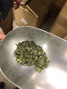 ラボラトワール・ファルマスティック